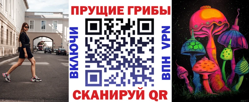 Псилоцибиновые грибы Psilocybe  Ядрин 