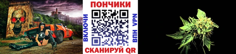 Бошки Шишки AK-47  как найти наркотики  Ядрин 